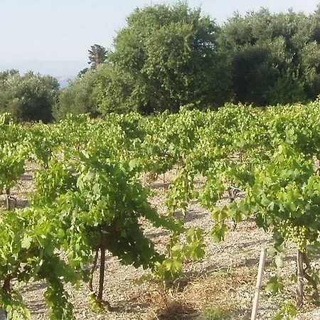 Dionysos Village Apart-hotel Lassi (Kefalonia)