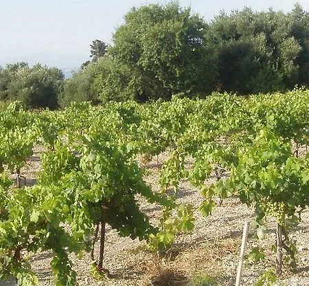Aparthotel Dionysos Village